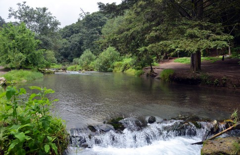 En  Altotonga, Ver., la gente puede recorrer el rio Pancho Poza donde puede pasear y disfrutar con la familia.