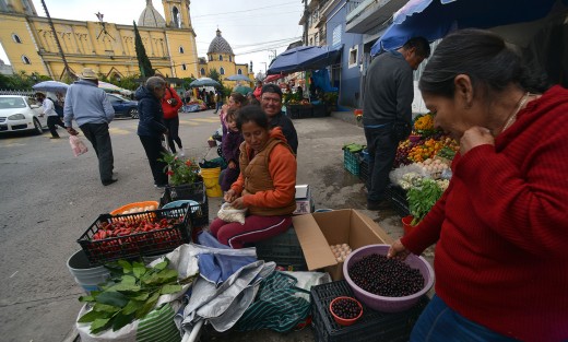 Por temporada en las calles de Altotonga uno puede comprar ciruelas, capulines, hongos y demás productos que comerciantes de las comunidades aledañas traen hasta la cabecera municipal a vender.