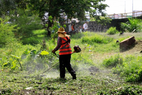 Con apoyo de distintas áreas del Ayuntamiento, sociedad y regidores, personal de la Dirección de Medio Ambiente realizó una jornada comunitaria de limpieza y reforestación en la laguna de Casa Blanca, donde se retiró lirio y rehabilitó parte del mobiliario urbano de la zona.