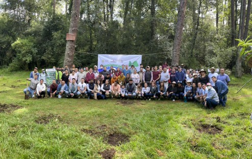 Este domingo,  titulares de las dependencias así como sus equipos se sumaron  a la Jornada Estatal De Reforestación, en la que también participaron miembros de la SEDENA, GN y pobladores de todos los municipios donde se desarrolló la actividad.
