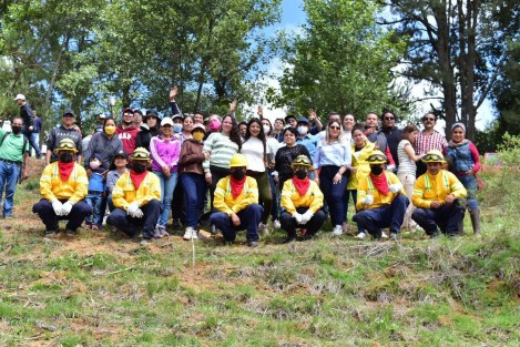 Este domingo,  titulares de las dependencias así como sus equipos se sumaron  a la Jornada Estatal De Reforestación, en la que también participaron miembros de la SEDENA, GN y pobladores de todos los municipios donde se desarrolló la actividad.

