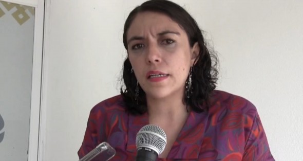 Después de activarse el Plan DNIIIE y el Plan Guardia Nacional, los incendios originados por la explosión de gas en un ducto de Pemex, en Chacaltianguis, están controlados, informó la secretaría de Protección Civil, Guadalupe Osorno Maldonado.

