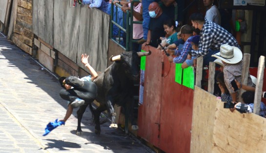 En la zona del Palacio Municipal, uno de los participantes fue embestido por uno de los toros y arrojado hacia el suelo; sin embargo, no fue lastimado y posteriormente se levantó para continuar en la capea. 