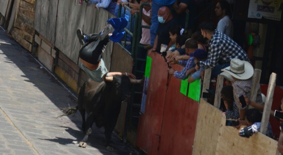 En la zona del Palacio Municipal, uno de los participantes fue embestido por uno de los toros y arrojado hacia el suelo; sin embargo, no fue lastimado y posteriormente se levantó para continuar en la capea. 