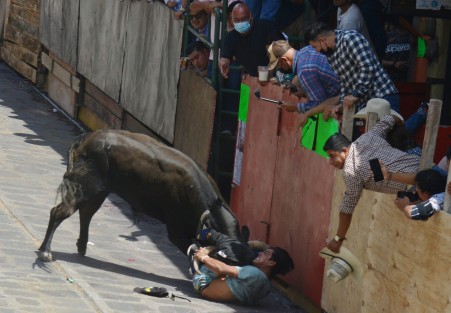 En la zona del Palacio Municipal, uno de los participantes fue embestido por uno de los toros y arrojado hacia el suelo; sin embargo, no fue lastimado y posteriormente se levantó para continuar en la capea. 