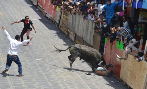 En la zona del Palacio Municipal, uno de los participantes fue embestido por uno de los toros y arrojado hacia el suelo; sin embargo, no fue lastimado y posteriormente se levantó para continuar en la capea. 