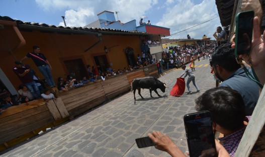 Algunas de las personas que participaron en la capea estuvieron consumiendo bebidas embriagantes, pese a que dicha situación estaría prohibida. Incluso, se les observó golpeando la parte de la nuca y el lomo de los toros. 