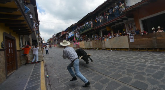 Algunas de las personas que participaron en la capea estuvieron consumiendo bebidas embriagantes, pese a que dicha situación estaría prohibida. Incluso, se les observó golpeando la parte de la nuca y el lomo de los toros. 
