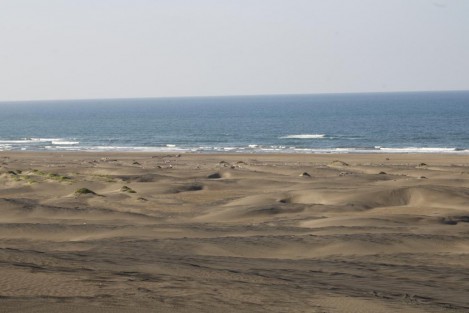 Playas como La Mancha y Villa Rica, el río Actopan, el descabezadero o las Dunas de San Isidro, esperan la llegada de decenas de visitantes en esta temporada vacacional.