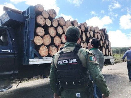 Como resultado de los operativos permanentes para combatir la tala clandestina en la región del Cofre de Perote, la Procuraduría Federal de Protección al Ambiente (PROFEPA) en coordinación con la Secretaría de Seguridad Pública (SSP) registran la clausura de cinco aserraderos y mil 174 metros cúbicos de madera asegurados.

