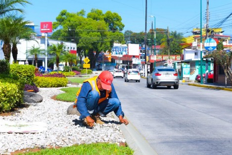 Para mantener una mejor imagen urbana, la Dirección de Medio Ambiente, a través del Departamento de Parques y Jardines, brinda mantenimiento en áreas verdes con la poda de pasto y la colocación de plantas de ornato en el Circuito Presidentes, a la altura de la USBI, así como en la avenida Rafael Murillo Vidal.