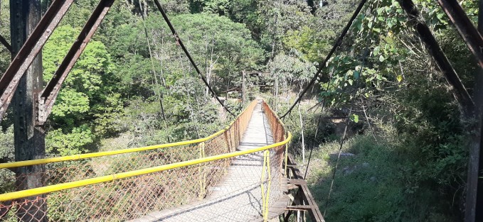 El alcalde de Xico, Luis Yoval Maldonado indicó que se espera que en este año se pueda reabrir el puente de la cascada de Texolo, pues hay buena disposición de los funcionarios de la Comisión Federal de Electricidad (CFE).