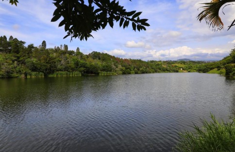 En la Laguna de El Castillo, el Alcalde conoció el proyecto turístico que se desarrolla en esta Área Natural Protegida de Servicios y Bienes, además, realizó la siembra de un Haya en la margen de un manantial que abastece a parte de la congregación.
