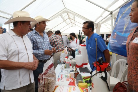 Con el Programa de Financiamiento a la Mediana Empresa Agroalimentaria y Rural (PROEM) y el Fideicomiso Instituido en Relación con la Agricultura (FIRA), se canalizan más de 270 millones de pesos en créditos otorgados por intermediarios financieros, con diferentes tasas, para el adecuado desarrollo de los proyectos del sector primario.