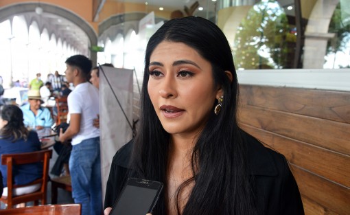 Kelly Ruiz, Miss Me?xico Joad Models Certamen y originaria de Cosautla?n de Carvajal, anuncio? su renuncia por falta de apoyo de autoridades y de la iniciativa privada. 