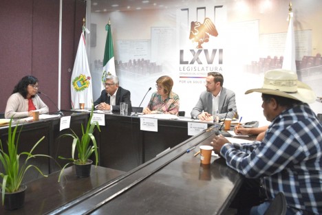 La Comisión Permanente de Gobernación llevó a cabo audiencias privadas de carácter conciliatorio con autoridades de los municipios de Ayahualulco, Filomeno Mata y Mecatlán, a quienes exhortaron a conocer y observar la ley y a trabajar de manera responsable, respetuosa y en estrecha colaboración.
