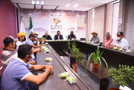 El presidente de la Comisión Permanente de Desarrollo Agropecuario, Rural y Forestal, diputado José Magdaleno Rosales Torres, recibió a productores de chayote de las regiones de Actopan, Coscomatepec e Ixtaczoquitlán, con quienes dialogó y concretó acuerdos para avanzar en la mejora de las condiciones en que desarrollan su actividad.