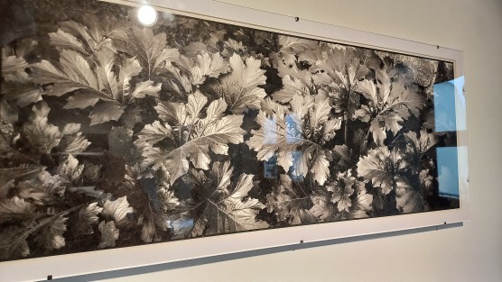 En la Galería Ramón Alva de la Canal, de la Universidad Veracruzana, se presenta actualmente la exposición fotográfica <em>Invisible</em> de Adrián Mendieta.  