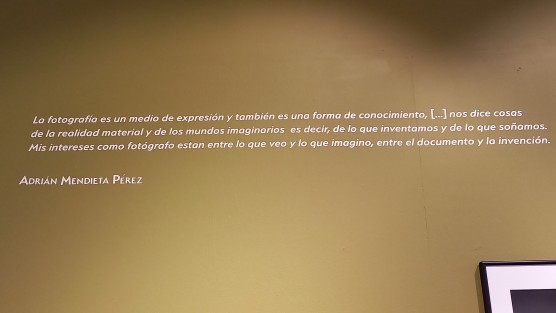 Errar es de humanos, por ello incluso en las mejores galerías, puede uno encontrar faltas de ortografía.
