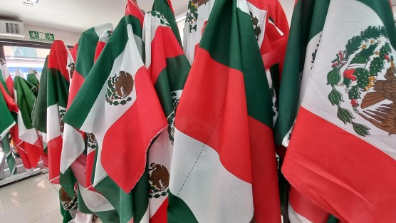 Visión de Patria: Patria para recortar. 