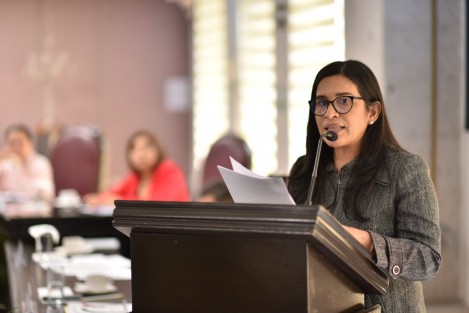 La diputada Magaly Armenta Oliveros presentó ante la Diputación Permanente una Iniciativa de Decreto que reforma la Fracción IX del Artículo 60 Bis de la Ley Orgánica del Municipio Libre, para que la Comisión edilicia para la Igualdad de Género, además de impulsar la creación del Instituto Municipal de las Mujeres (IMM), mantenga una estrecha vinculación con el mismo, a fin de garantizar las condiciones para el puntual y eficiente cumplimiento de sus atribuciones.