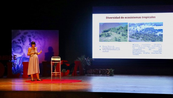 Por qué los olmecas se establecieron y desarrollaron en una zona selvática, cuánta gente necesitaron para trasladar grandes bloques de basalto desde la sierra de Los Tuxtlas y aplicar 8 millones de m3 de relleno en San Lorenzo, además de quiénes vivían en el Palacio Rojo, fueron algunas dudas despejadas durante la disertación Esplendor olmeca: Antiguos habitantes de la selva tropical, de la doctora Virginia Arieta Baizabal.
