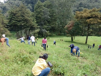 Alumnos de la paraescolar de Técnico Agropecuario del COABAEV 28 de Tlapacoyan, Ver. se sumaron a las campañas de reforestación, con la siembra de árboles, principalmente pinos, en el municipio de Altotonga.