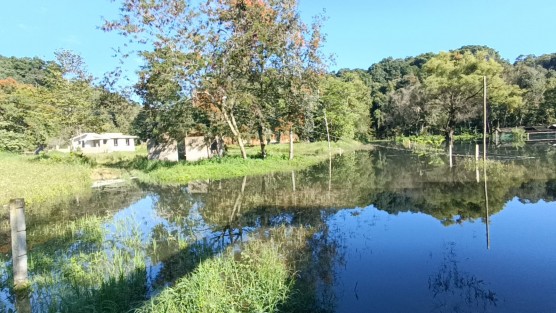 Cinco propiedades en el ejido Benito Juárez de la ciudad de Xalapa están afectadas por aguas pluviales del arroyo que proviene del Jardín Botánico, por lo que piden ayuda a las autoridades municipales.
