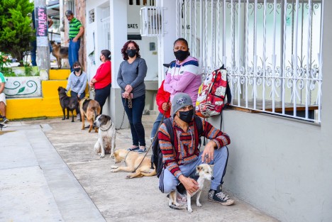 Como parte del programa itinerante de esterilización de mascotas, personal especializado acudió al salón ejidal en la colonia La Tranca, de la congregación El Castillo, donde se atendieron más de 40 perros y gatos. 