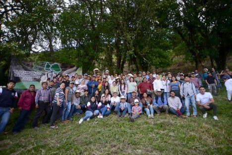 Con la coordinación general del gran equipo de la SEDEMA, se sembraron más de 30 mil árbolitos en puntos de reforestación en 23 municipios. Participaron alrededor de 10 mil personas de todas las dependencias y se sumaron diputados, alcaldes, la administración del Poder Judicial y la gente en general con sus familias.