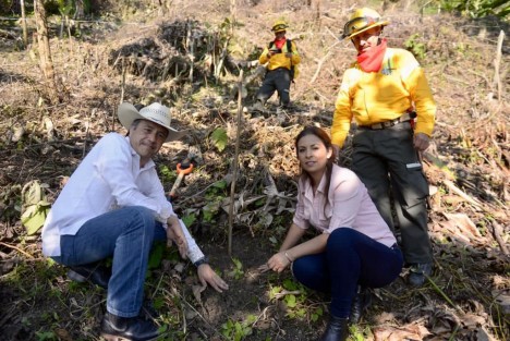 Con la coordinación general del gran equipo de la SEDEMA, se sembraron más de 30 mil árbolitos en puntos de reforestación en 23 municipios. Participaron alrededor de 10 mil personas de todas las dependencias y se sumaron diputados, alcaldes, la administración del Poder Judicial y la gente en general con sus familias.