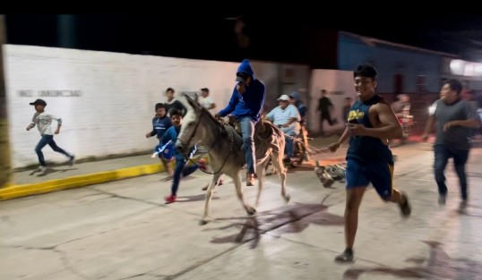 La madrugada de este 4 de Octubre, festividad de San Francisco de Asís, se realizó en Actopan, Ver., localidad en donde tienen a este santo como patrono, la Corrida de Burritos, donde estos animales son corridos por las calles para invitar a las personas a acudir a la iglesia a cantar las mañanitas a San Francisco. 