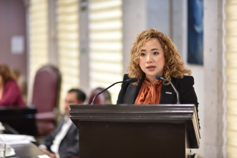La diputada Itzel López López se congratuló con la decisión del gobernador, ingeniero Cuitláhuac García Jiménez, de instruir una serie de trabajos para revisar posibles alternativas que contribuyan a reducir el tiempo de paso y la movilidad de vehículos en la caseta de Fortín.