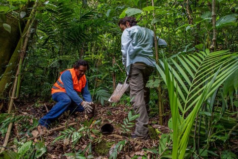 Con el objetivo de recuperar y enriquecer la flora del lugar, este sábado el Ayuntamiento, a través de la Dirección de Medio Ambiente y en coordinación con la Secretaría de Medio Ambiente (Sedema), realizó una jornada De Reforestación en el Parque Ecológico Macuiltépetl. Se sembrarom más de 800 ejemplares endémicos del municipio.
