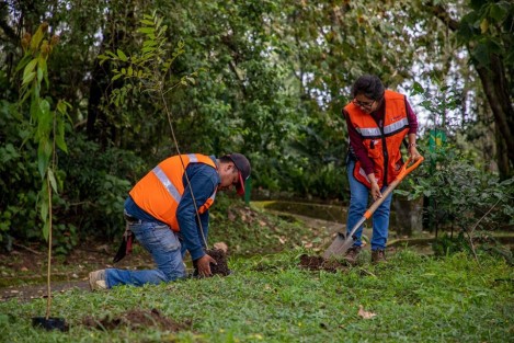 Con el objetivo de recuperar y enriquecer la flora del lugar, este sábado el Ayuntamiento, a través de la Dirección de Medio Ambiente y en coordinación con la Secretaría de Medio Ambiente (Sedema), realizó una jornada De Reforestación en el Parque Ecológico Macuiltépetl. Se sembrarom más de 800 ejemplares endémicos del municipio.
