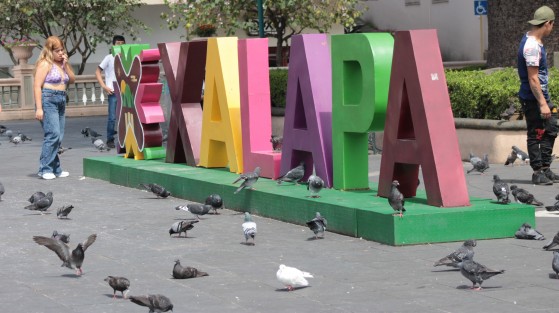 Para quienes han dejado de frecuentar el parque Juárez, es notorio al visitarlo, el incremento en la población de palomas en el lugar. Este domingo en redes sociales, el Ayuntamiento invitó a no favorecer el crecimiento de la población de aves dejando de alimentarlas, sin embargo ante el ataque de opiniones, la publicación fue eliminada. 