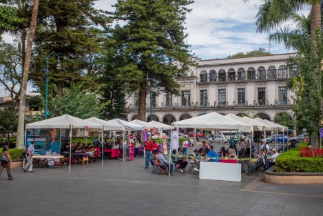 En el marco del Día internacional de la lucha contra el cáncer de mama, que se conmemora este 19 de octubre, el Ayuntamiento de Xalapa, en coordinación con el Gobierno del Estado, realiza una Feria de la Salud en la explanada central del parque Benito Juárez, donde con el apoyo de personal de los Servicios de Salud de Veracruz, se llevan a cabo mastografías gratuitas previo registro.