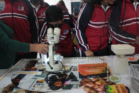 La Semana Estatal de Ciencia y Tecnología es promovida por el COVEICYDET, con la participación activa de las secretarías de Educación, Salud, Seguridad Pública, Protección Civil y Medio Ambiente, centros de investigación científica y tecnológica. Por primera vez, cuenta con 10 subsedes: Naranjos, Chicontepec, Actopan, Pánuco, Cuitláhuac, Zongolica, Las Choapas, Nanchital, Jesús Carranza y Tierra Blanca.