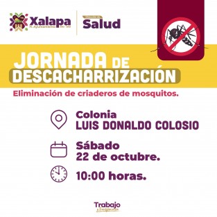 El Ayuntamiento de Xalapa anuncia que el  próximo sábado 22 de octubre, a partir de las 10:00 horas, se llevará a cabo la #JornadaDeDescacharrización en la colonia Luis Donaldo Colosio. 