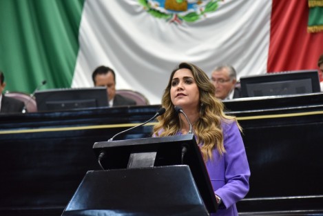 Del Grupo Legislativo del Partido Revolucionario Institucional (PRI), la diputada Anilú Ingram Vallines adelantó que votarán a favor de la reforma, porque Veracruz necesita la presencia de sus Fuerzas Armadas. 