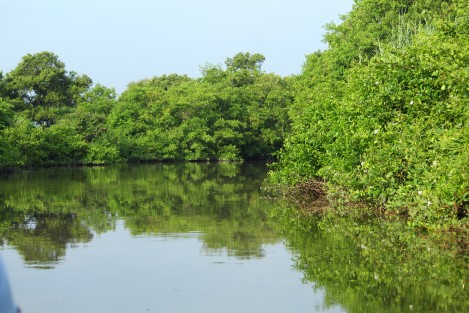 .- La ciudadanía ahora tiene la gran oportunidad de vivir la experiencia de visitar y concientizarse sobre la gran función del Área Natural Protegida (ANP) Estatal Arroyo Moreno, gracias a los trayectos en lancha gratuitos que implementa la Secretaría de Medio Ambiente (SEDEMA).

 