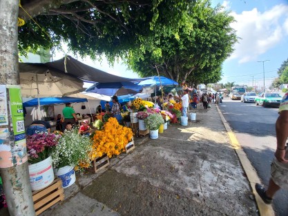 Panteones de Xalapa empiezan a cobrar vida en los  Días de Muertos. 