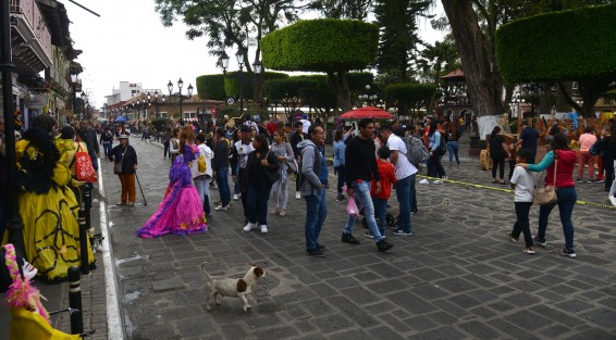 Miles de turistas visitaron Naolinco en estos días de muertos, al decir los visitantes hasta más de dos horas de camino se hicieron para poder llegar a este rincón de Veracruz que sigue siendo uno de los lugares favoritos de los locales y extranjeros.