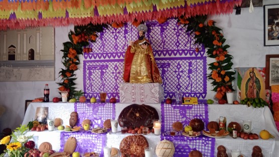 Miles de turistas visitaron Naolinco en estos días de muertos, al decir los visitantes hasta más de dos horas de camino se hicieron para poder llegar a este rincón de Veracruz que sigue siendo uno de los lugares favoritos de los locales y extranjeros.