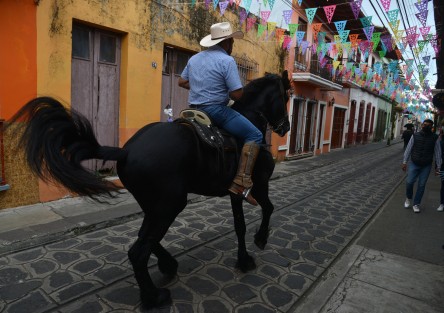 Miles de turistas visitaron Naolinco en estos días de muertos, al decir los visitantes hasta más de dos horas de camino se hicieron para poder llegar a este rincón de Veracruz que sigue siendo uno de los lugares favoritos de los locales y extranjeros.