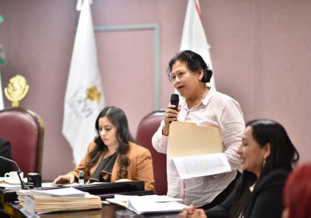 La diputada Eusebia Cortés Pérez presentó un Anteproyecto de Punto de Acuerdo para solicitar que la LXVI Legislatura realice un exhorto al Congreso de la Unión para que abrogue la Ley Federal de Zonas Económicas Especiales (ZEES) ante la falta de certeza jurídica para las entidades involucradas al no estar en operación, ni haber recibido inversiones públicas productivas, equipamiento urbano o desarrollo alguno desde su creación.

