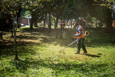 También se visitaron áreas verdes ubicadas en las colonias Herón Proal y Unidad Magisterial, donde se realizaron trabajos de limpieza, siembra y mantenimiento. Con este tipo de acciones, el Gobierno Municipal brinda respuesta a peticiones de la población relacionadas con reforestaciones, educación ambiental, salud pública y la recuperación de espacios públicos.