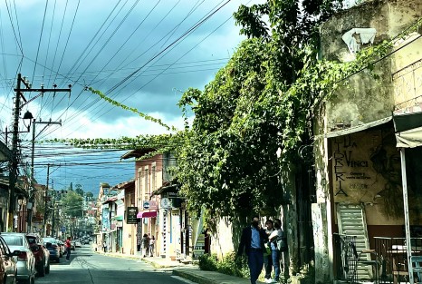 Debido a la ley de conservación de construcciones antiguas en el centro histórico de Xalapa y problemas testamentarios de sus propietarios, muchas casas esperan el momento de derrumbarse solas, o bien de convertirse en áreas verdes sobre viejos paredones. 