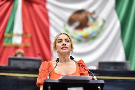 La diputada Maribel Ramírez Topete presentó al Pleno del Congreso del Estado una iniciativa que reformaría el Artículo 53 de la Ley Estatal del Servicio Civil de Veracruz, que tiene por objeto establecer que las personas que tengan más de seis meses de trabajo ininterrumpidos al servicio de la misma entidad pública disfrutarán de dos periodos anuales de vacaciones, con goce de sueldo, que no podrán ser interiores a 15 días continuos cada uno.

