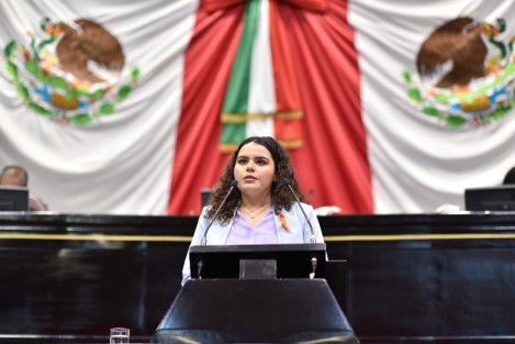 Para que Veracruz cuente con leyes que le permitan superar los retos que le demanda la actualidad, el Grupo Legislativo del Partido Acción Nacional (PAN) impulsará, durante el segundo año de esta LXVI Legislatura, reformas en materias como seguridad pública y desarrollo integral, manifestó la diputada Itzel Yescas Valdivia ante el Pleno de este Congreso.
